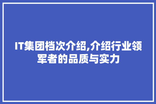 IT集团档次介绍,介绍行业领军者的品质与实力