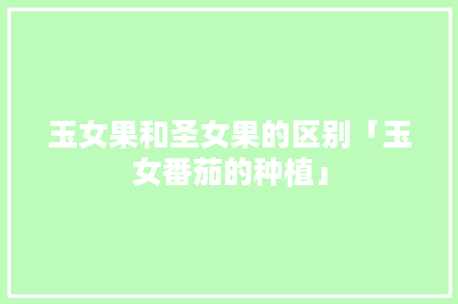 玉女果和圣女果的区别「玉女番茄的种植」