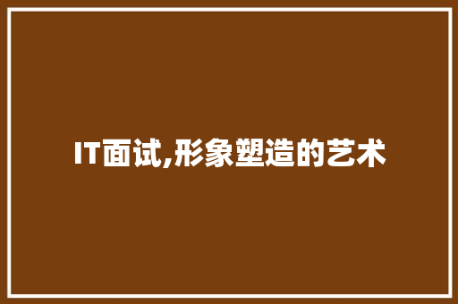 IT面试,形象塑造的艺术