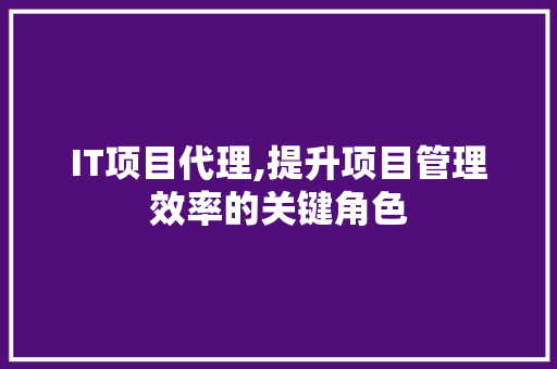 IT项目代理,提升项目管理效率的关键角色 IT项目代理,提升项目管理效率的关键角色