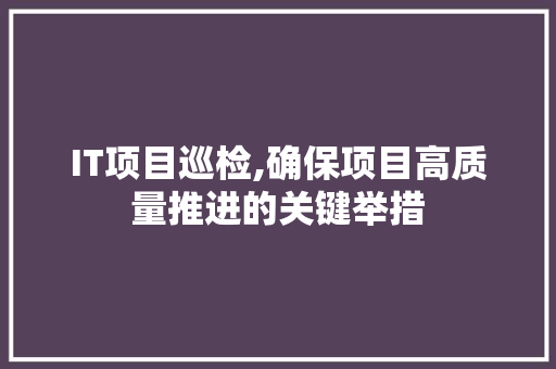 IT项目巡检,确保项目高质量推进的关键举措