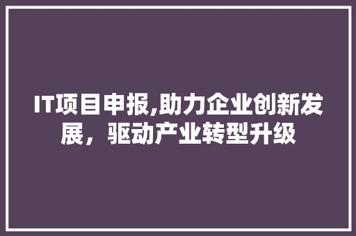 IT项目申报,助力企业创新发展，驱动产业转型升级