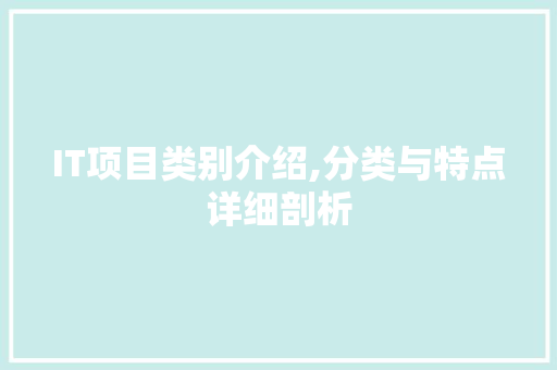 IT项目类别介绍,分类与特点详细剖析