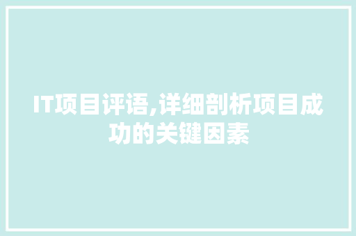 IT项目评语,详细剖析项目成功的关键因素