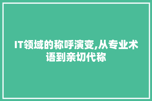 IT领域的称呼演变,从专业术语到亲切代称