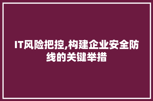 IT风险把控,构建企业安全防线的关键举措