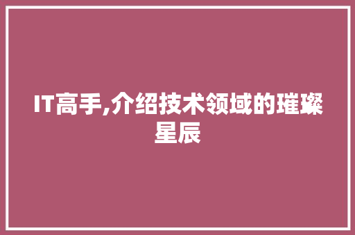 IT高手,介绍技术领域的璀璨星辰