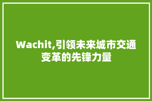 Wachit,引领未来城市交通变革的先锋力量