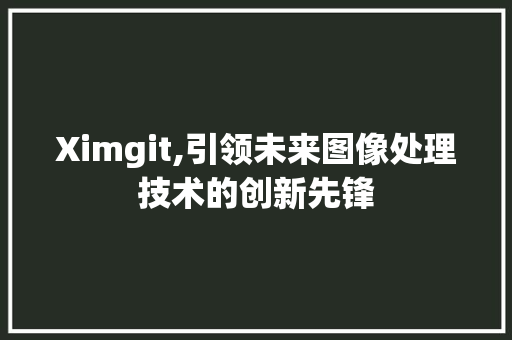 Ximgit,引领未来图像处理技术的创新先锋