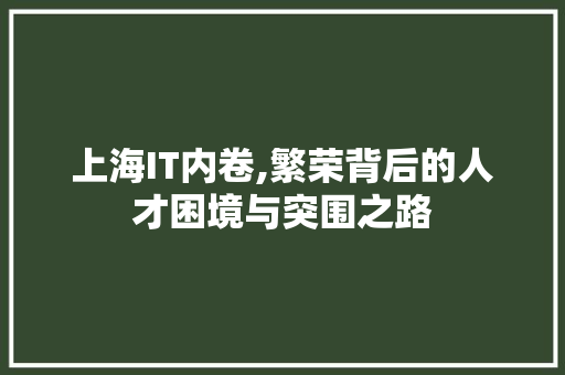 上海IT内卷,繁荣背后的人才困境与突围之路