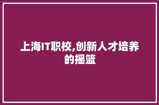 上海IT职校,创新人才培养的摇篮
