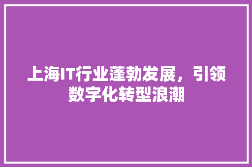 上海IT行业蓬勃发展，引领数字化转型浪潮