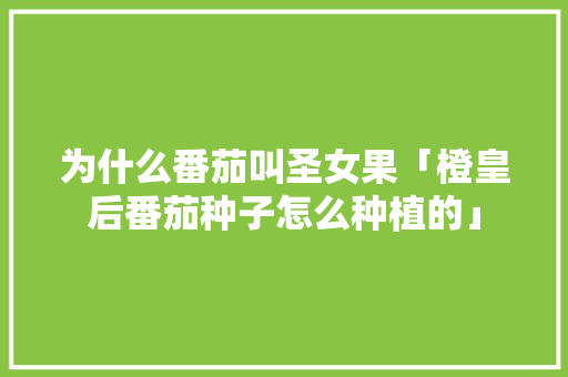 为什么番茄叫圣女果「橙皇后番茄种子怎么种植的」 为什么番茄叫圣女果「橙皇后番茄种子怎么种植的」 番茄病虫害防治