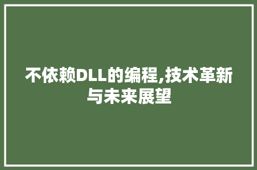 不依赖DLL的编程,技术革新与未来展望