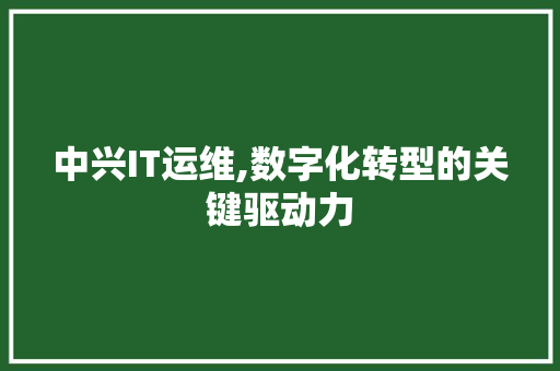 中兴IT运维,数字化转型的关键驱动力