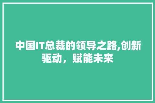 中国IT总裁的领导之路,创新驱动，赋能未来