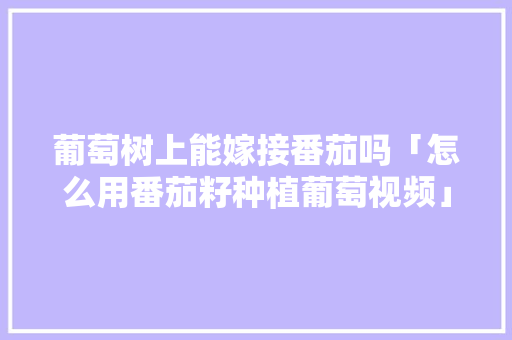 葡萄树上能嫁接番茄吗「怎么用番茄籽种植葡萄视频」 葡萄树上能嫁接番茄吗「怎么用番茄籽种植葡萄视频」 植物种类