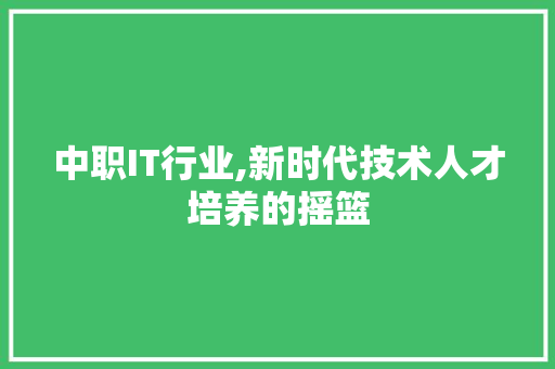 中职IT行业,新时代技术人才培养的摇篮