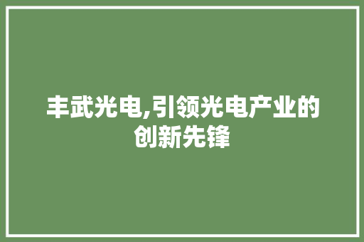 丰武光电,引领光电产业的创新先锋