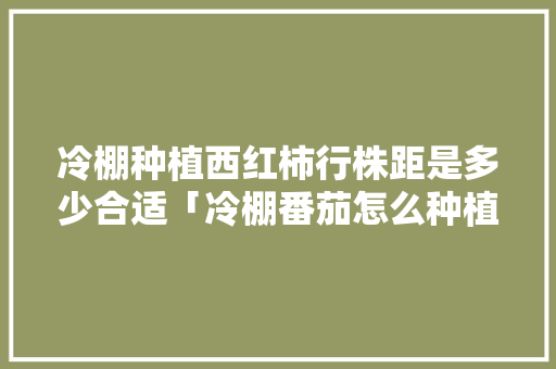 冷棚种植西红柿行株距是多少合适「冷棚番茄怎么种植视频」 冷棚种植西红柿行株距是多少合适「冷棚番茄怎么种植视频」 农业常识