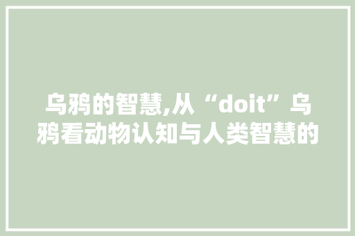 乌鸦的智慧,从“doit”乌鸦看动物认知与人类智慧的共通之处