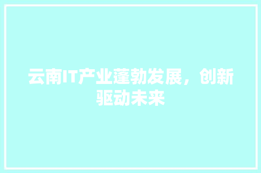 云南IT产业蓬勃发展，创新驱动未来