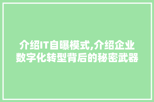 介绍IT自曝模式,介绍企业数字化转型背后的秘密武器