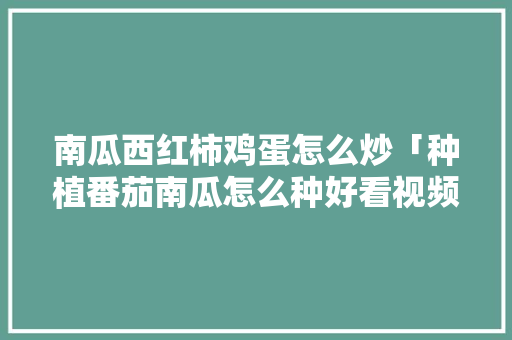 南瓜西红柿鸡蛋怎么炒「种植番茄南瓜怎么种好看视频」 南瓜西红柿鸡蛋怎么炒「种植番茄南瓜怎么种好看视频」 花朵知识