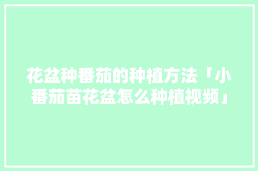 花盆种番茄的种植方法「小番茄苗花盆怎么种植视频」 花盆种番茄的种植方法「小番茄苗花盆怎么种植视频」 植物种类