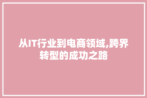 从IT行业到电商领域,跨界转型的成功之路