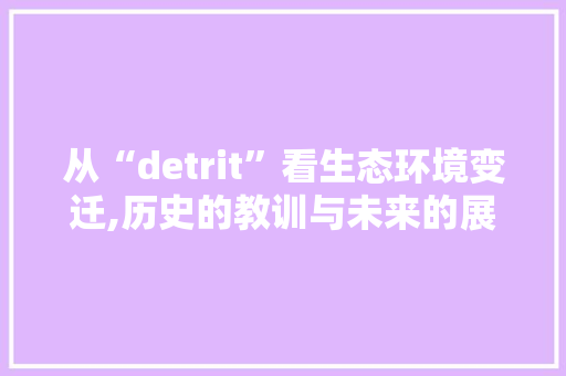 从“detrit”看生态环境变迁,历史的教训与未来的展望