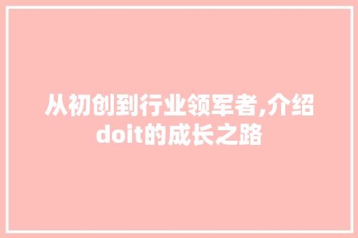 从初创到行业领军者,介绍doit的成长之路