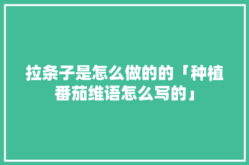 拉条子是怎么做的的「种植番茄维语怎么写的」 拉条子是怎么做的的「种植番茄维语怎么写的」 土壤施肥