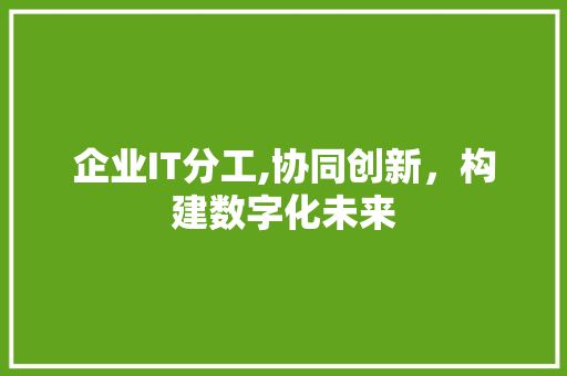 企业IT分工,协同创新，构建数字化未来