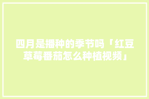 四月是播种的季节吗「红豆草莓番茄怎么种植视频」