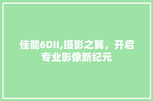 佳能6DII,摄影之翼，开启专业影像新纪元