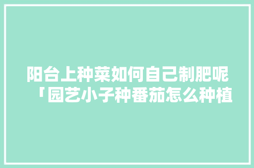 阳台上种菜如何自己制肥呢「园艺小子种番茄怎么种植视频」