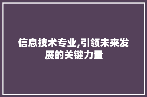 信息技术专业,引领未来发展的关键力量