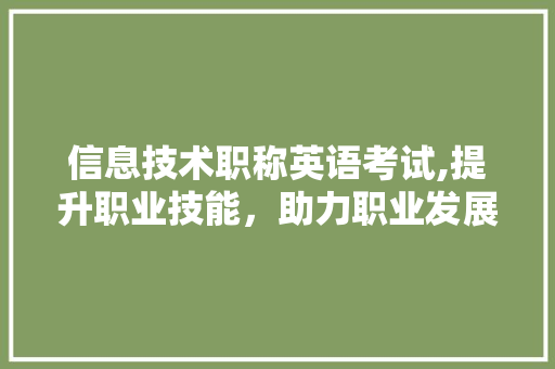 信息技术职称英语考试,提升职业技能，助力职业发展
