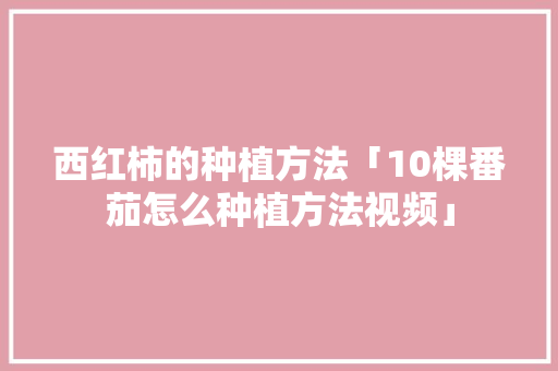 西红柿的种植方法「10棵番茄怎么种植方法视频」