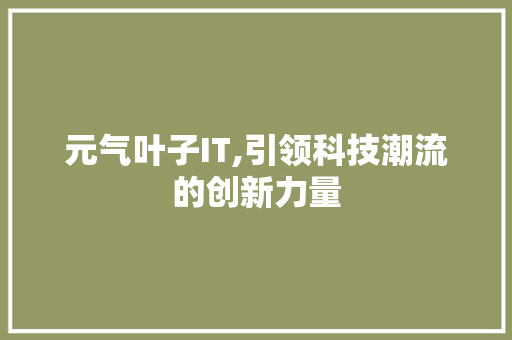 元气叶子IT,引领科技潮流的创新力量
