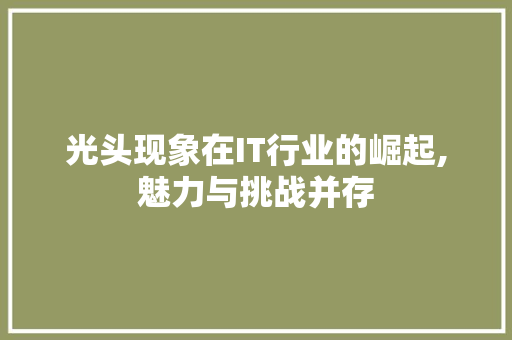 光头现象在IT行业的崛起,魅力与挑战并存