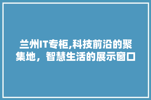 兰州IT专柜,科技前沿的聚集地，智慧生活的展示窗口
