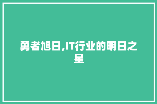 勇者旭日,IT行业的明日之星
