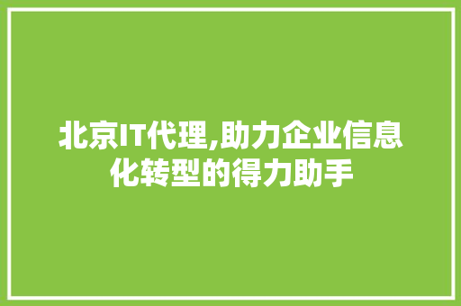 北京IT代理,助力企业信息化转型的得力助手