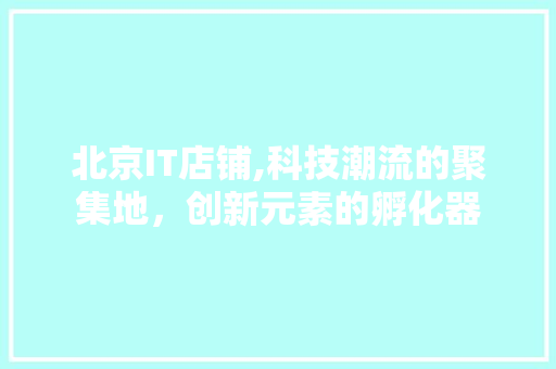 北京IT店铺,科技潮流的聚集地，创新元素的孵化器