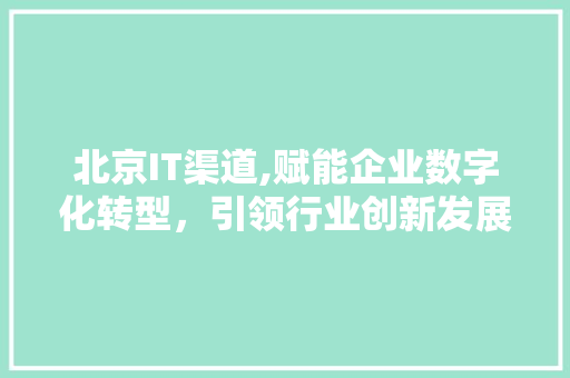 北京IT渠道,赋能企业数字化转型，引领行业创新发展