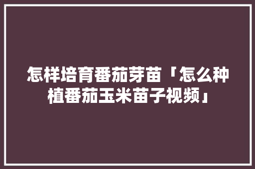 怎样培育番茄芽苗「怎么种植番茄玉米苗子视频」 怎样培育番茄芽苗「怎么种植番茄玉米苗子视频」 番茄种植技巧