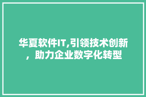 华夏软件IT,引领技术创新，助力企业数字化转型