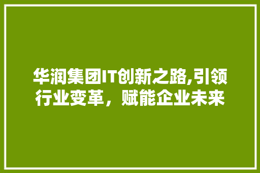华润集团IT创新之路,引领行业变革，赋能企业未来